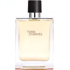 Terre D'Hermes by Hermes Eau De Toilette EDT Spray for Men 3.4 oz / 100 ml New